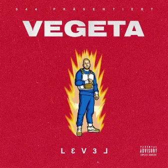 Vegeta by LEVEL