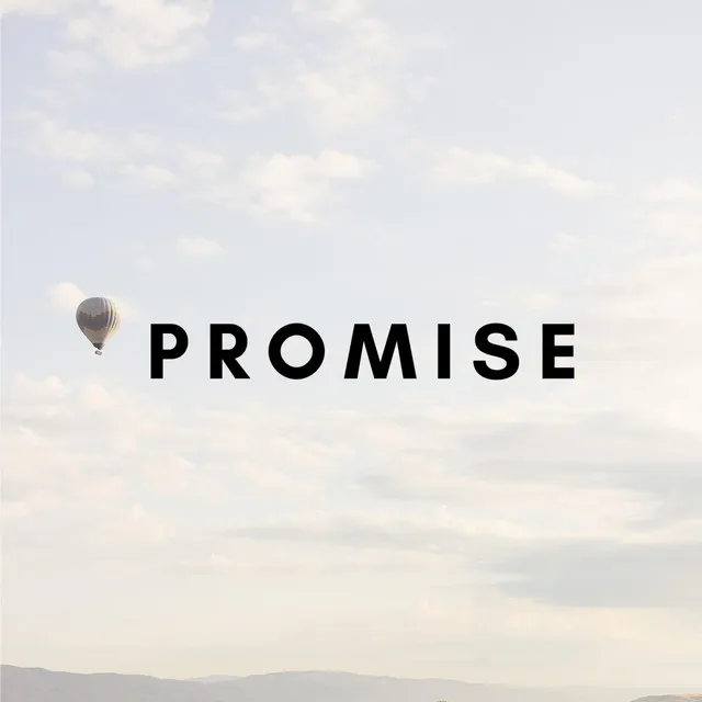 Promise