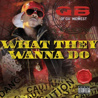 What They Wanna Do by Q.B. Of Da' Midwest