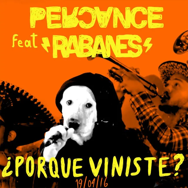 Por Que Viniste? - Remix