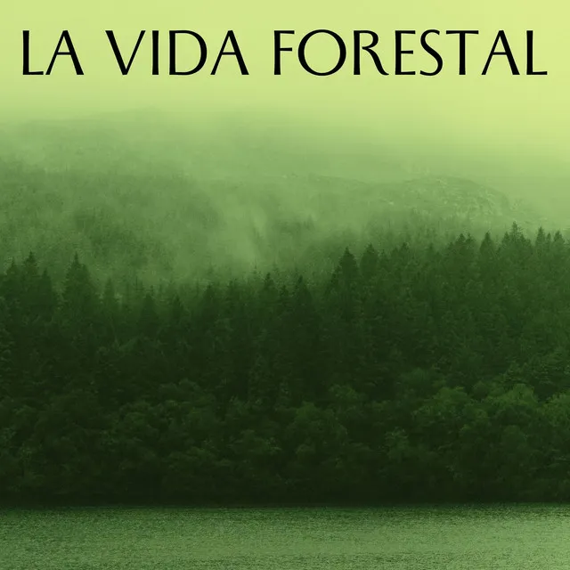 La Vida Forestal