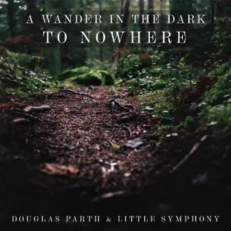 A Wander in the Dark to Nowhere by Douglas Parth