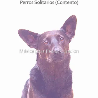 Perros Solitarios (Contento) by Música para Perros Curación