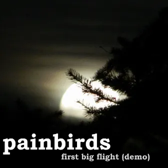 First Big Flight by Painbirds