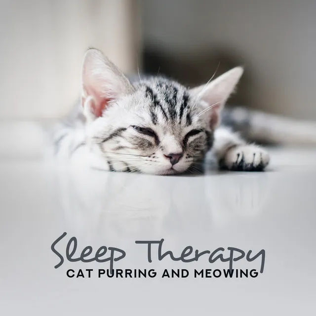 Sleep Therapy: Cat Purring and Meowing, Deep Sleep, Oasis of Dreams, Total Insomnia Cure