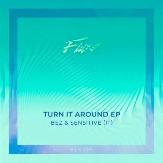 Turn It Around by Bez (BR)