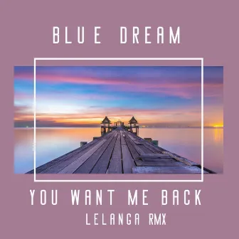 You Want Me Back (Lelanga Remix) by LELANGA