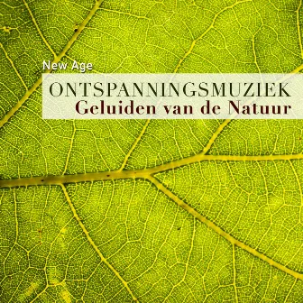 Ontspanningsmuziek voor Mentale Gezondheid met de Geluiden van de Natuur by Unknown Artist