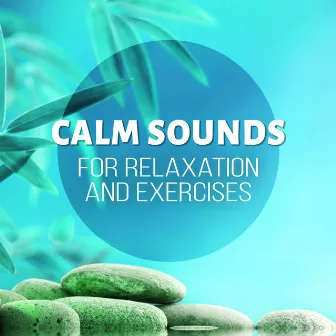 Calm Sounds for Relaxation and Exercises - Music for Stretching, Pilates & Yoga, New Age Music for Backpain Exercises for Women, Pregnancy Exercises and Workouts by Exercise Plan Club