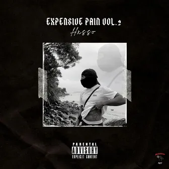 Expensive Pain, Vol. 2 by Hxsso