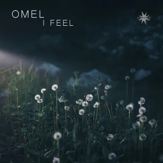 I Feel by Omel