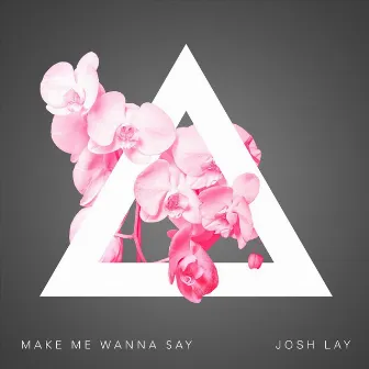 Make Me Wanna Say by Josh Lay