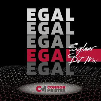 Egal (Sylaar DJ Mix) by Eric Sylaar