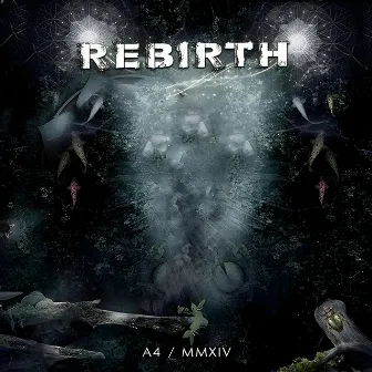 Rebirth by A4