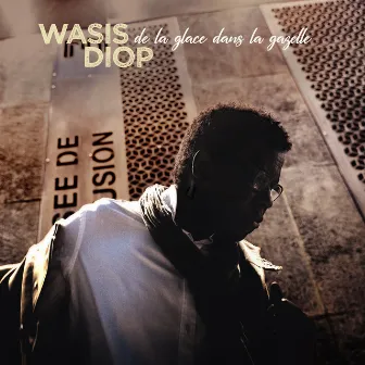 De la glace dans la gazelle by Wasis Diop