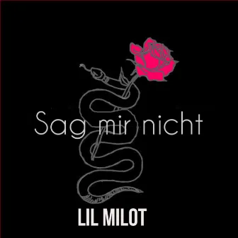 Sag mir nicht by Lil Milot