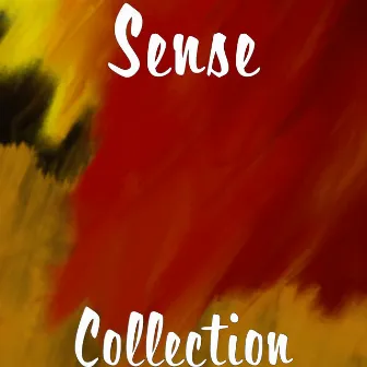 Collection by Sense