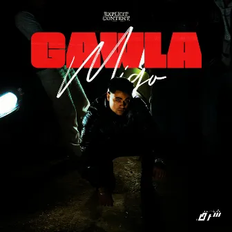 GAWLA by Migo