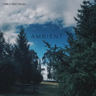 Ambient by Pablo Diaz Fanjul