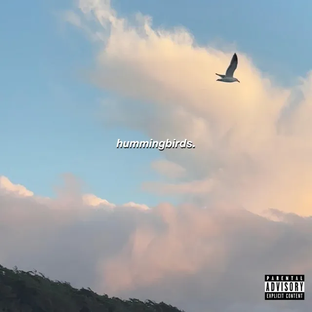 hummingbirds (4 you)