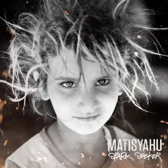 Spark Seeker by Matisyahu