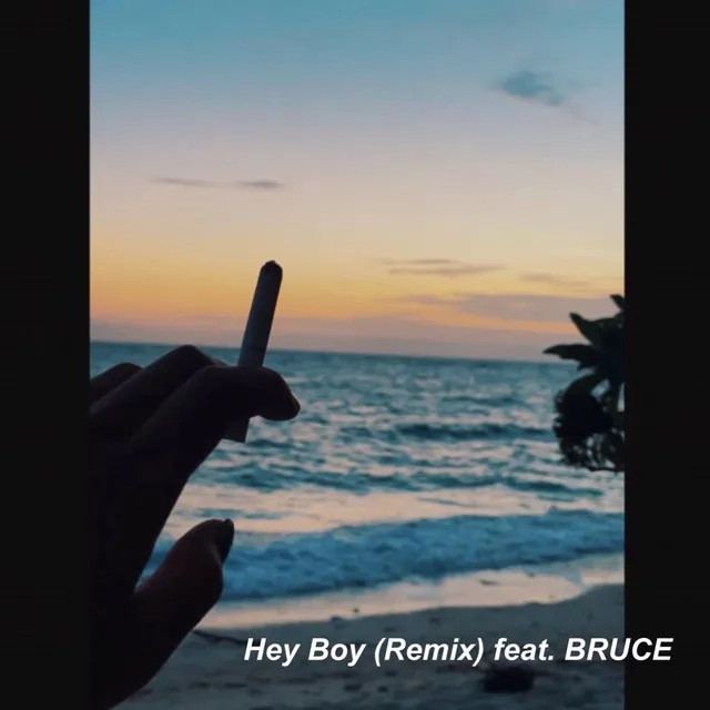 Hey Boy - Remix