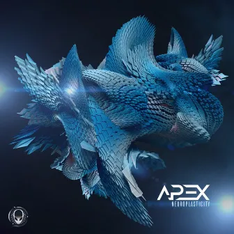 Neuroplasticity by Apex