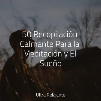 50 Recopilación Calmante Para la Meditación y El Sueño by Masajes Spas