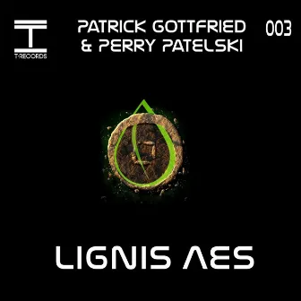 Lignis Aes by Perry Patelski