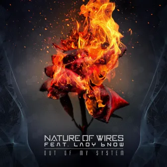 Out of my System by Nature of Wires