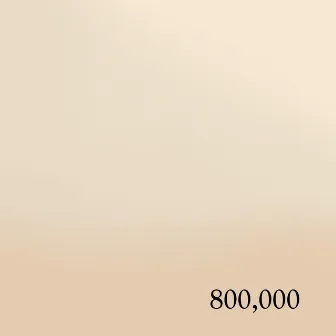 800,000 by FEiN