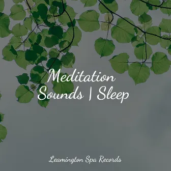 Meditation Sounds | Sleep by Cascada de Lluvia