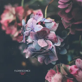 Florescence by Trastler