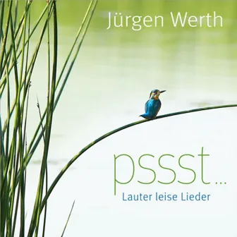 Pssst ... Lauter leise Lieder by Jürgen Werth