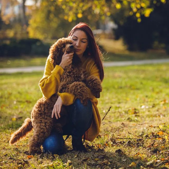 Pet's Tranquil Haven: Binaural Harmony with Crickets' Serenade