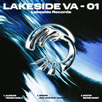 Lakeside VA - 01 by Lakeside Basement