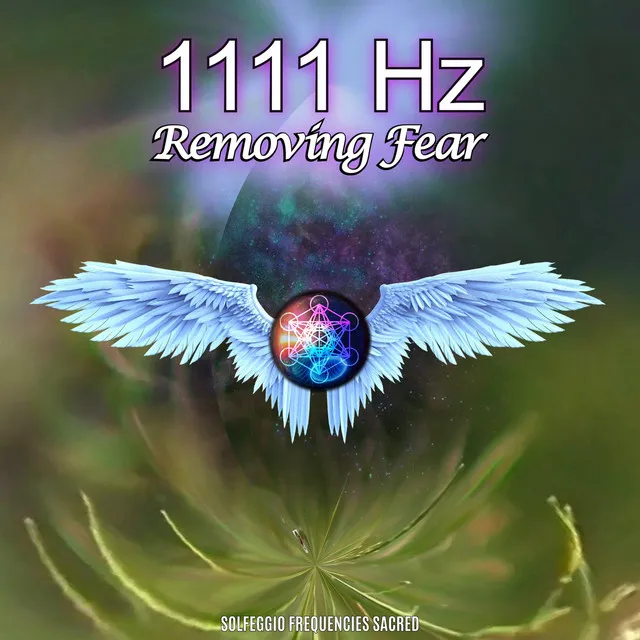 1111hz Removing Fear