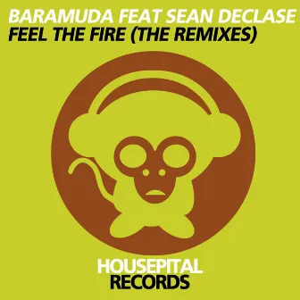 Feel the Fire (The Remixes) by Sean DeClase