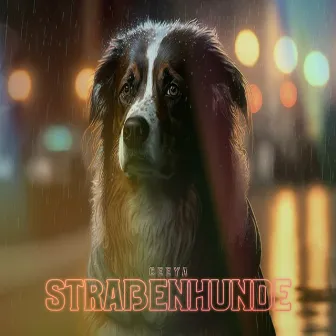 Straßenhunde by Ceeya