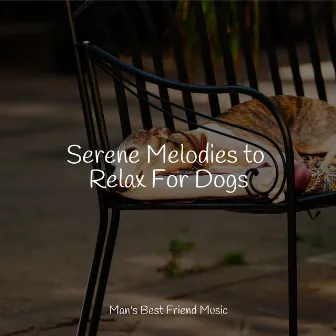 Serene Melodies to Relax For Dogs by Relaxmydog