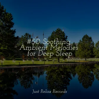 #50 Soothing Ambient Melodies for Deep Sleep by Study Hard