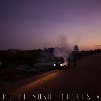 Quebrajar by Mushi Mushi Orquesta