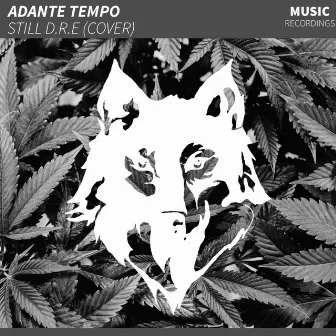 Still D.R.E. by Adante Tempo