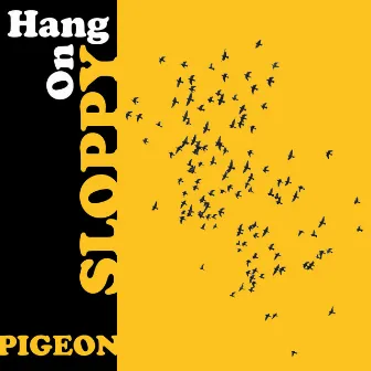 Hang On Sloppy by Pigeon