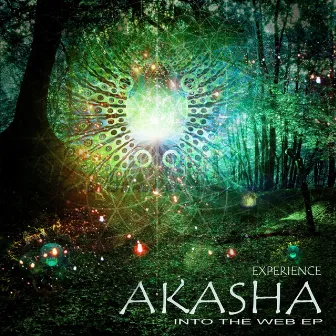 Into the Web by Akasha Experience