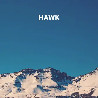 Hawk by Costax