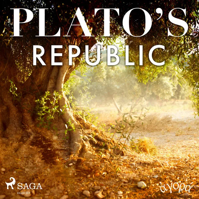 Chapter 1.1 - Plato's Republic