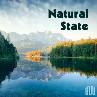 Natural State by Julien Cavard