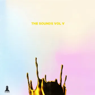 The Sounds, Vol. 5 by INVDRS