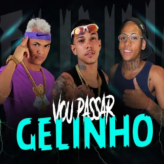 Vou Passar Gelinho no Seu Corpo by Nandinho Lima